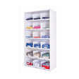 Steel shelving with dividers and full back cladding